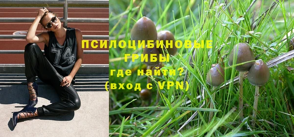 MDMA Premium VHQ Беломорск