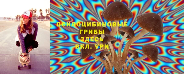 скорость mdpv Белокуриха
