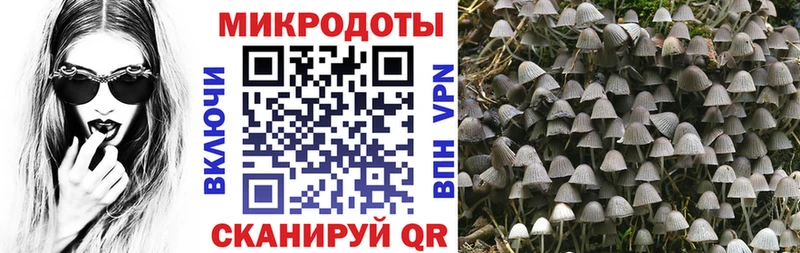 Галлюциногенные грибы мицелий  Клинцы 